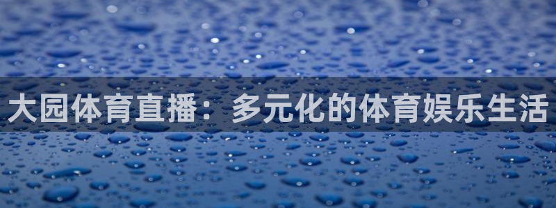 新球体育足球官网：大园体育直播：多元化的体育娱乐生活