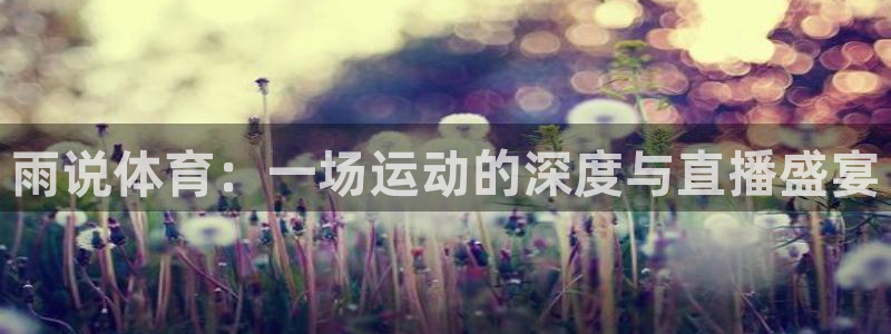 新球体育比分：雨说体育：一场运动的深度与直播盛宴
