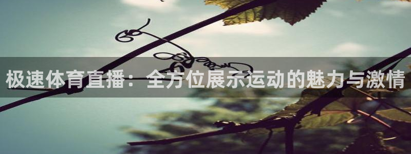 新球赛直播