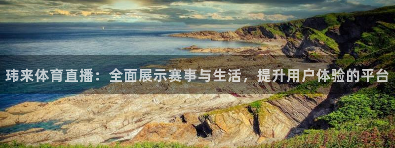 新球：玮来体育直播：全面展示赛事与生活，提升用户体验的平台