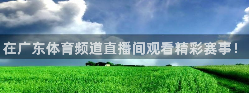 新球体育直播：在广东体育频道直播间观看精彩赛事！